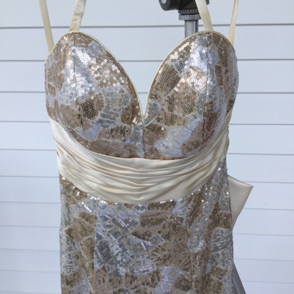 Cire’ Strapless or Halter Silver and Champagne sequine gown, size 4 - Picture 3 of 14